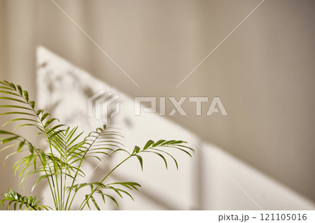 Warm sunlight streaming in through the window, beige background, flowers, vases, and a table with plants. Harmony of light and shadow. 121105016