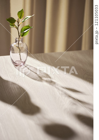 Warm sunlight streaming in through the window, beige background, flowers, vases, and a table with plants. Harmony of light and shadow. Warm sunlight streaming in through the window, beige background, flowers, vases, and a table with plants. Harmony of light and shadow. 121105033