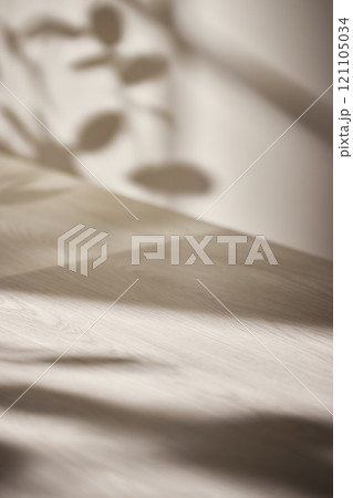 Warm sunlight streaming in through the window, beige background, flowers, vases, and a table with plants. Harmony of light and shadow. Warm sunlight streaming in through the window, beige background, flowers, vases, and a table with plants. Harmony of light and shadow. 121105034