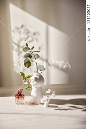 Warm sunlight streaming in through the window, beige background, flowers, vases, and a table with plants. Harmony of light and shadow. 121105037