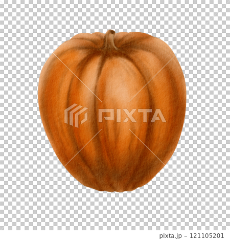 Rustic orange pumpkin from the fall harvest as a festive holiday symbol.Farm healthy food.Party decoration for Halloween,Thanksgiving,pie recipe.Hand-drawn watercolor clipart on transparent background Rustic orange pumpkin from the fall harvest as a festive holiday symbol.Farm healthy food.Party decoration for Halloween,Thanksgiving,pie recipe.Hand-drawn watercolor clipart on transparent background 121105201