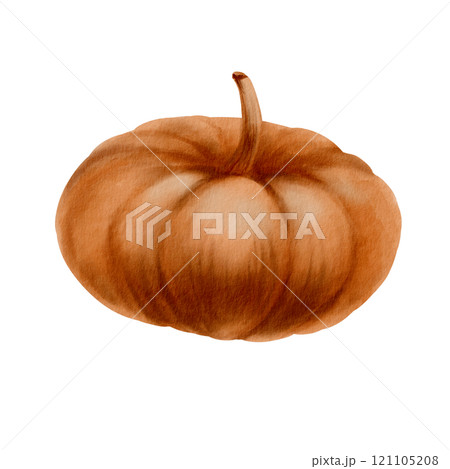 Rustic orange pumpkin from the fall harvest as a festive holiday symbol.Farm healthy food.Party decoration for Halloween,Thanksgiving,pie recipe.Hand-drawn watercolor clipart on transparent background 121105208