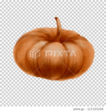 Rustic orange pumpkin from the fall harvest as a festive holiday symbol.Farm healthy food.Party decoration for Halloween,Thanksgiving,pie recipe.Hand-drawn watercolor clipart on transparent background 121105208