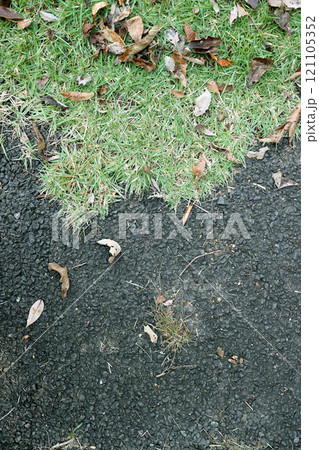 アスファルトと葉っぱ 121105352