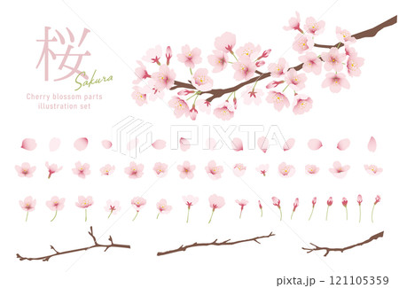 桜の花 水彩風 ベクターイラスト　パーツセット 121105359