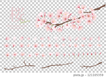 桜の花 水彩風 ベクターイラスト　パーツセット 121105359