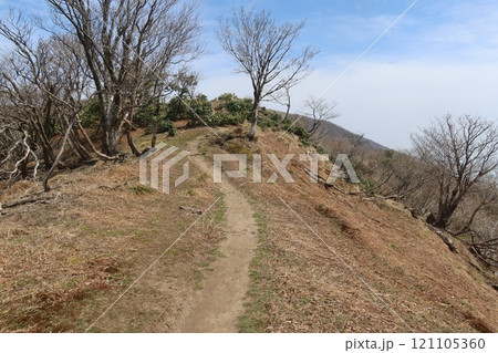 蓬莱山の初夏 蓬莱山の初夏 121105360
