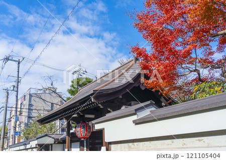 京都西陣　紅葉の季節の雨宝院（西陣聖天）　南門 121105404