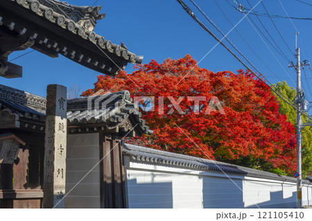 京都 宝鏡寺 山門と真っ赤に色づいた紅葉 京都 宝鏡寺 山門と真っ赤に色づいた紅葉 121105410