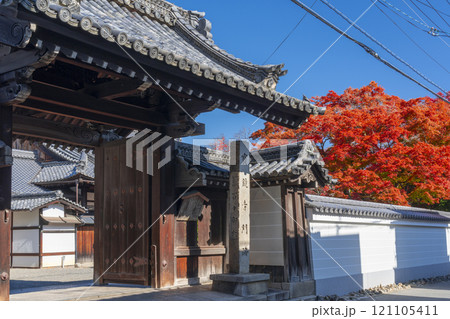 京都　宝鏡寺　山門と真っ赤に色づいた紅葉 121105411