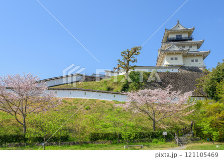 掛川城二の丸からの天守と桜 121105469