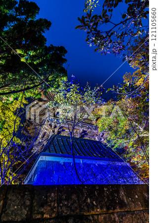 安勝寺の紅葉ライトアップ 【長崎県諫早市】 安勝寺の紅葉ライトアップ 【長崎県諫早市】 121105660