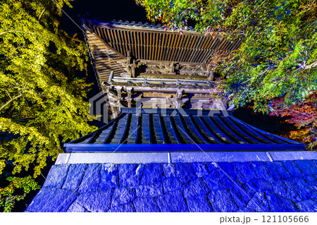 安勝寺の紅葉ライトアップ　【長崎県諫早市】 121105666