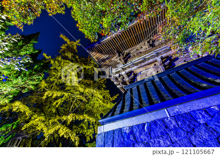 安勝寺の紅葉ライトアップ　【長崎県諫早市】 121105667