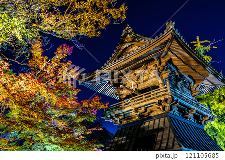 安勝寺の紅葉ライトアップ　【長崎県諫早市】 121105685