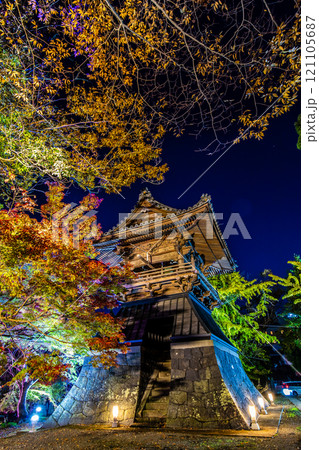 安勝寺の紅葉ライトアップ　【長崎県諫早市】 121105687