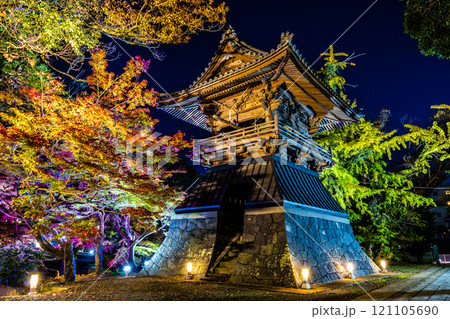 安勝寺の紅葉ライトアップ　【長崎県諫早市】 121105690