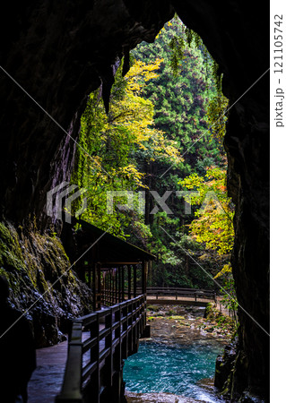 秋芳洞　正面入口 洞内から【山口県美祢市】 121105742