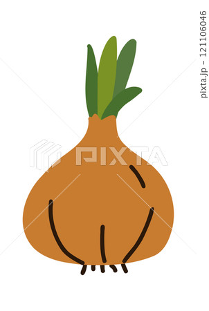 Whole and cut green onion scallions. Healthy organic food. Fresh green vegetables. Vector illustration 121106046