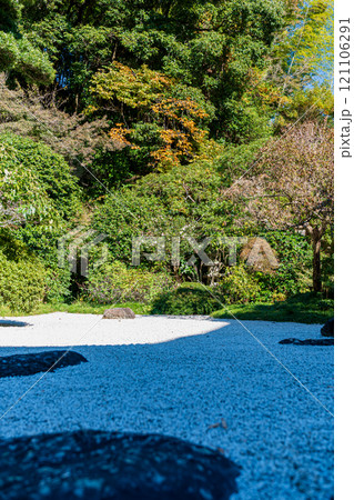 紅葉の鎌倉　報国寺 121106291