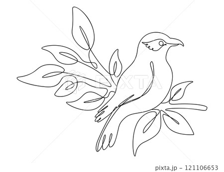 Simple line shrike bird on branch 121106653