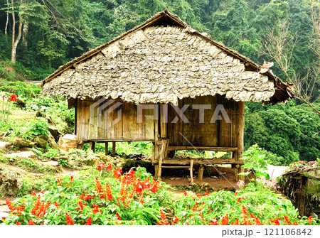 A hut in the middle of a garden , Thailand 121106842