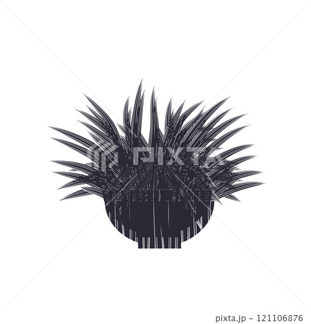 Black linocut silhouette of potted houseplant spider plant Black linocut silhouette of potted houseplant spider plant 121106876