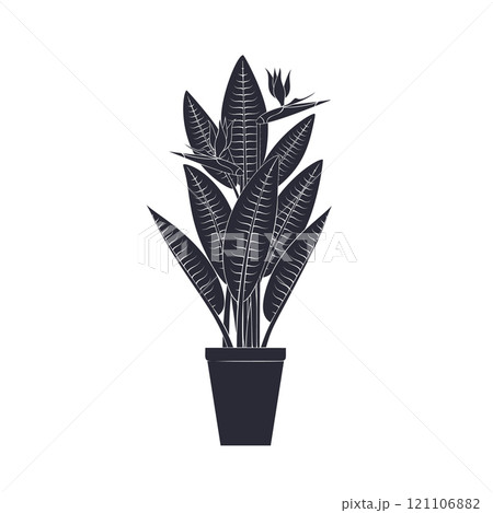 Black linocut silhouette of potted houseplant bird of paradise Black linocut silhouette of potted houseplant bird of paradise 121106882