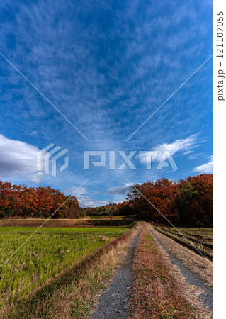 冬を迎える里山と田園地帯 121107055