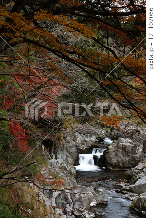 大蛇ヶ淵の紅葉と渓谷 大蛇ヶ淵の紅葉と渓谷 121107066