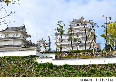 長崎県島原城 121107148