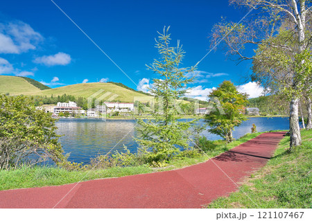 【白樺湖の湖畔】 長野県茅野市北山白樺湖 121107467