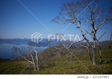 冬枯れの木々と広がる湖の絶景 冬枯れの木々と広がる湖の絶景 121107661