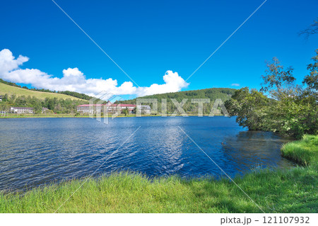 【白樺湖の湖畔】 長野県茅野市北山白樺湖 【白樺湖の湖畔】 長野県茅野市北山白樺湖 121107932