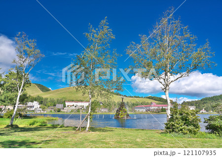 【白樺湖の湖畔】 長野県茅野市北山白樺湖 121107935