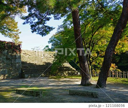 鶴ヶ城 紅葉 鶴ヶ城 紅葉 121108036