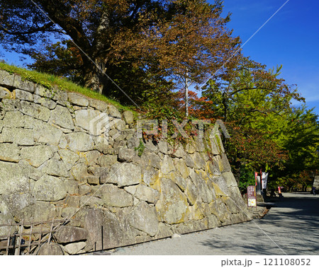 鶴ヶ城 紅葉 鶴ヶ城 紅葉 121108052