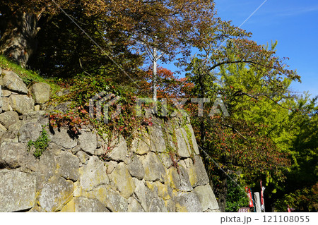 鶴ヶ城 紅葉 鶴ヶ城 紅葉 121108055