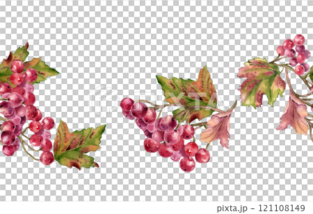 Bunch of red viburnum berries watercolor seamless border isolated. Snowball tree berries on branch, leaves in botanical repeated background hand painted. Red berries hand drawn for textile, package. 121108149