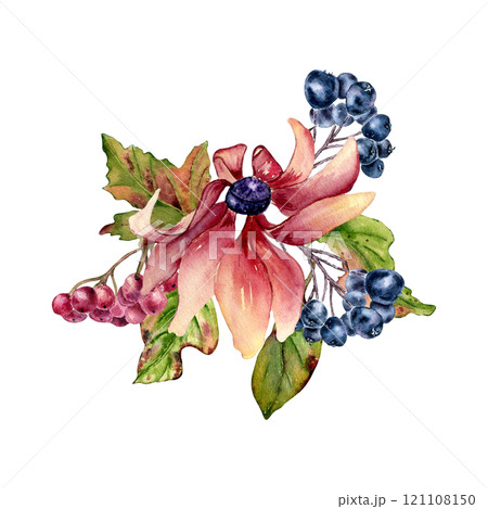 Pink coneflower and chokeberry colorful watercolor illustration isolated. Colorful leaves, viburnum berries and rowan hand drawn botanical sketch. Autumn bloom daisy painted for fall nature themed. 121108150