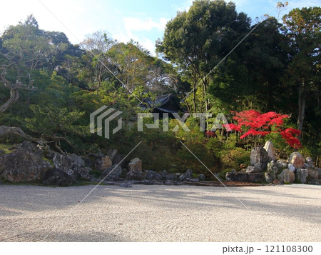 金地院　鶴亀の庭園（特別名勝） 121108300