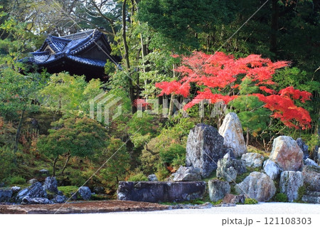 鶴島の紅葉と東照宮 121108303