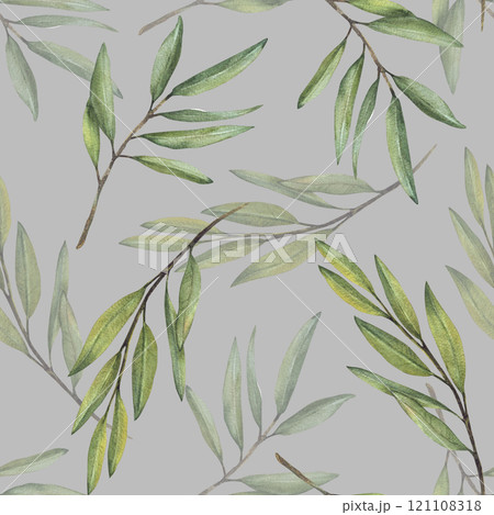 Olive tree branches, fruitless with green leaves watercolor seamless pattern. Botanical clipart. Hand drawn greenery foliage realistic illustration wallpaper, fabric Isolated grey coloured background 121108318