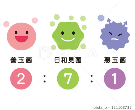 腸内細菌のバランス 腸内フローラ 腸内細菌のバランス 腸内フローラ 121108735