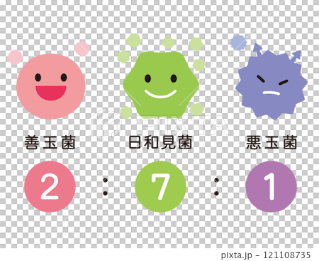 腸内細菌のバランス 腸内フローラ 腸内細菌のバランス 腸内フローラ 121108735
