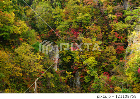 鳴子峡　紅葉　宮城県 121108759