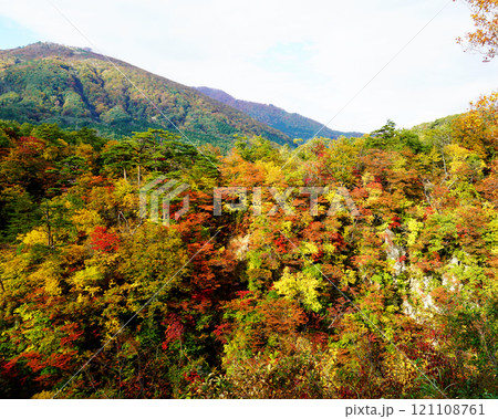 鳴子峡 紅葉 宮城県 鳴子峡 紅葉 宮城県 121108761