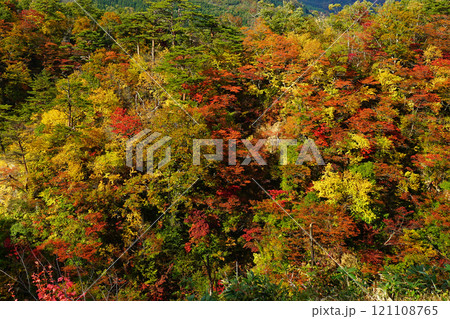 鳴子峡 紅葉 宮城県 鳴子峡 紅葉 宮城県 121108765