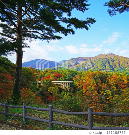 鳴子峡 紅葉 宮城県 鳴子峡 紅葉 宮城県 121108785