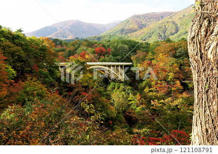 鳴子峡 紅葉 宮城県 鳴子峡 紅葉 宮城県 121108791